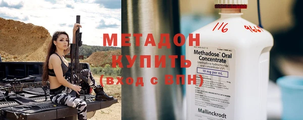 прущие грибы Балахна