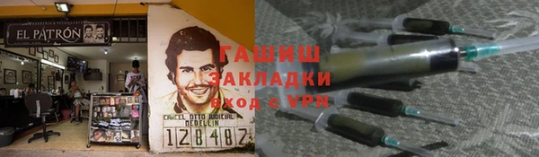 прущие грибы Балахна