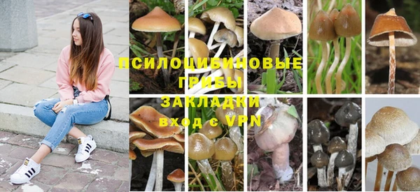 a pvp Балабаново