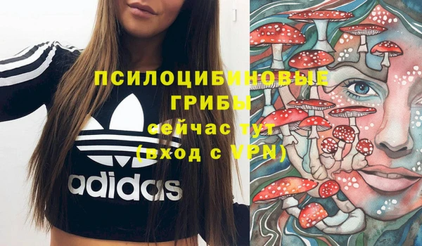 экстази Баксан
