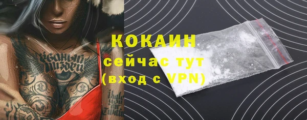 прущие грибы Балахна