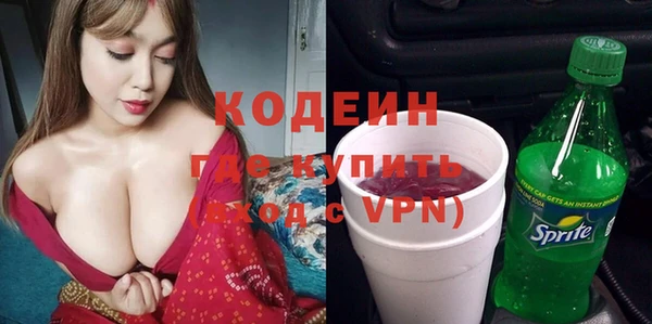 прущие грибы Балахна